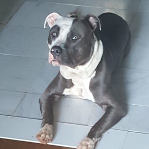 Meet your Posher, Candi